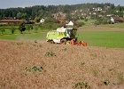Claas Drescher 13